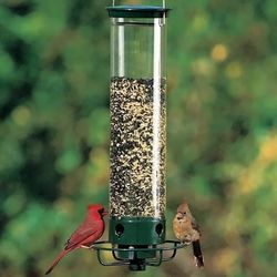 spinning squirrel proof bird feeder