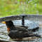 Solar Garden Fountain - Easy Install, Eco-Friendly Plastic Design, Perfect for Outdoor Transformations5