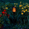 Solar Garden Lights