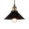 Pius - Modern Shade Hanging Lampblack