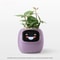 Best Smart Planter with Sensors