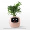 HighTech Planter with LCD Screen