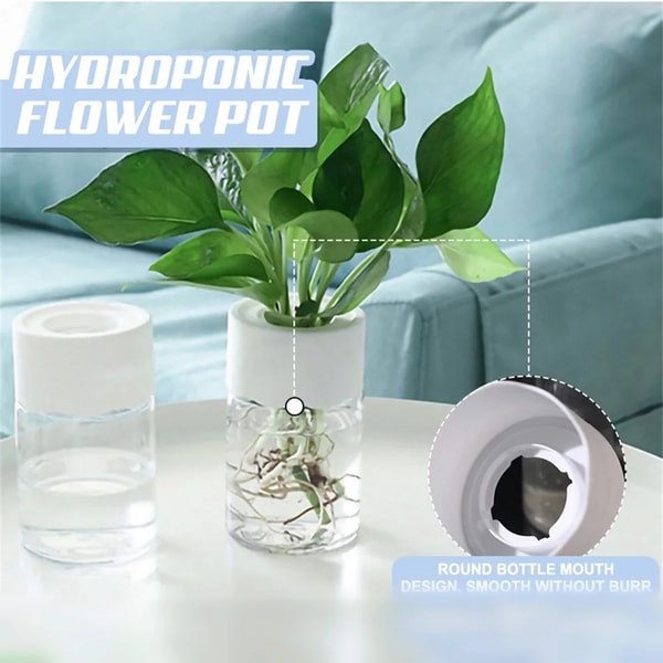 Transparent Hydroponic Flower Pot Stylish Soilless Planter For Home Decoration 5