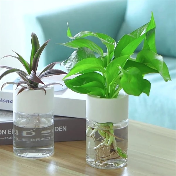 Transparent Hydroponic Flower Pot