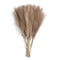 Elegant Faux Pampas Grass for Table Decor