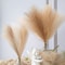 Durable Pampas Grass Decor for Home and Parties