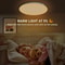 Smart LED Ceiling Lamp with WiFi App Voice Control Alexa Google Home Compatible