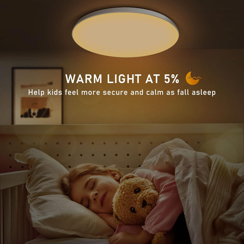 Smart LED Ceiling Lamp with WiFi App  Voice Control Alexa  Google Home Compatible