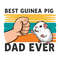 Retro-Best-Guinea-Pig-Dad-Ever-Dad-Life-SVG-2505241036.png