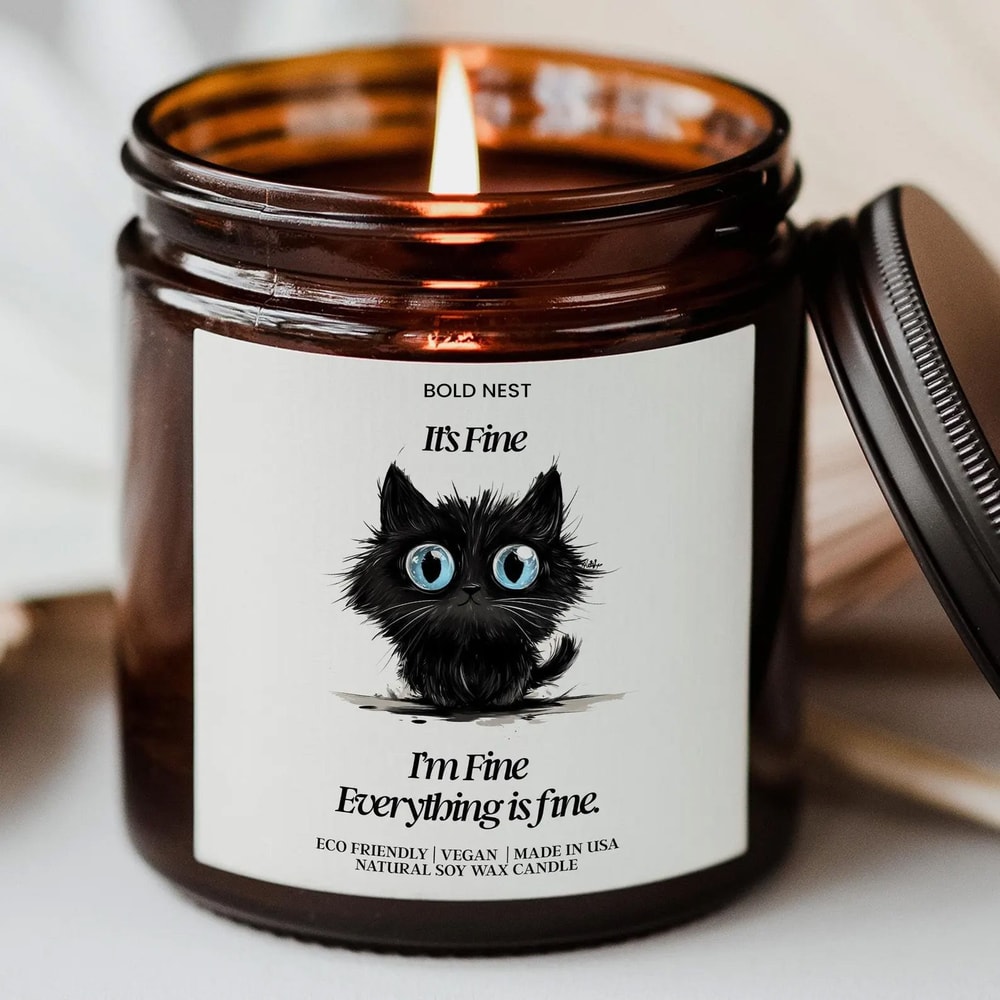 Everything Is Fine Candle Funny Self Care Gift For Mental Health Get Well Soon Care Package Suppo 0