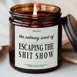 funny coworker farewell candle gift leaving job goodbye sarcastic office humor candle for work bestie manager