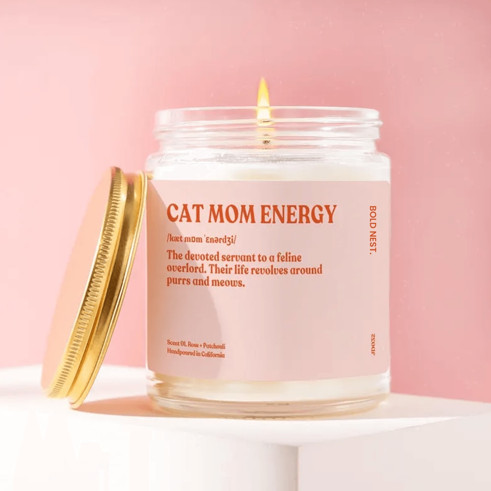 Cat Mom Gift Definition Candle Funny Gift For Cat Lovers Feline Servant Candle Perfect Unique Gift 0
