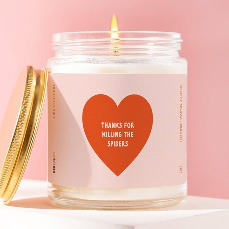Thanks For Killing The Spiders Candle Funny Gift For Boyfriend Husband Gift Funny Couple Gift Anniv 0