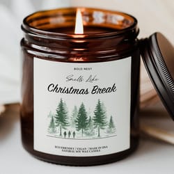 smells like christmas break candle funny teacher gift holiday appreciation decor