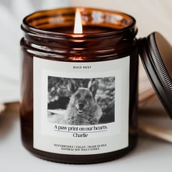 custom pet memorial candle personalized photo pet remembrance sympathy gift for dog or cat