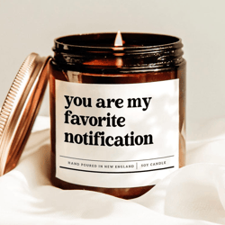 you are my favorite notification candle, cute couple gift for boyfriend girlfriend anniversary romantic decor