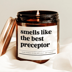 smells like the best preceptor candle, nurse preceptor gift, nursing school mentor appreciation soy candle