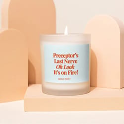 funny preceptor candle gift for nurses | preceptors last nerve nursing student graduation gift