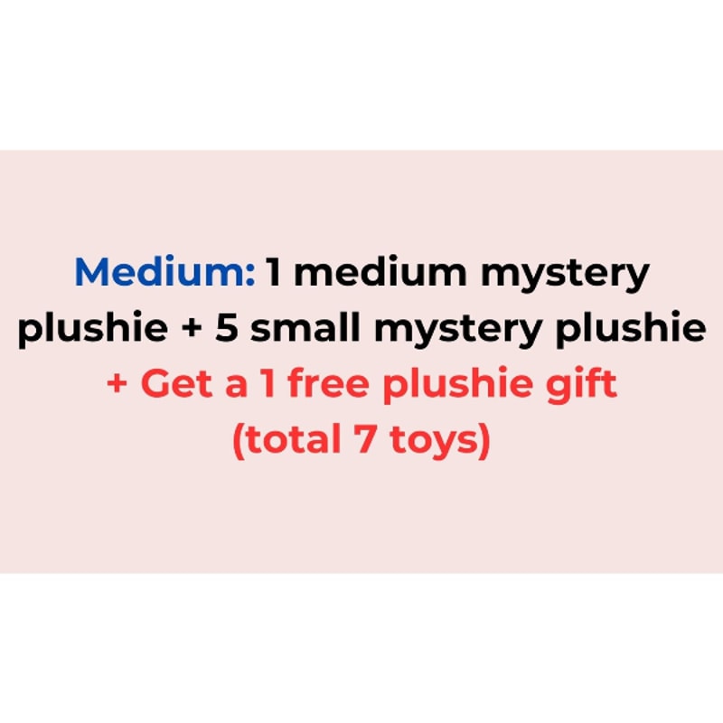 Random Surprise Mystery Fidget Box toys Crochet Plushie, random surprise set | Inspire ...