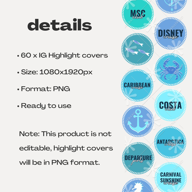 CruiseTravelInstagramHighlightsjpg