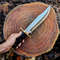 Vintage Bowie Knife Custom Handmade D2 Steel Smithsonian Replica Antique Bowie Hunting Knife With Buffalo Horn Handle 5