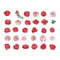 Rose Bundle Svg, Rose Svg, Rose Clipart, Rose Cricut Svg, Instant Download.jpg