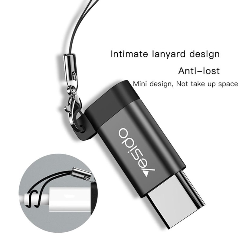 GS04 Type-C to Micro USB Adapter Keychain Charging & Data Transfer Converter