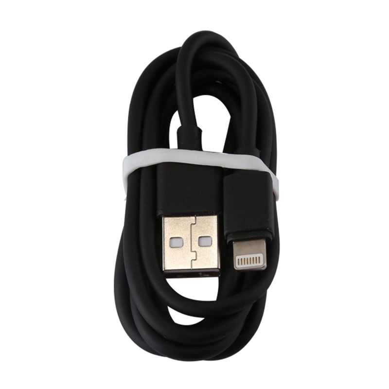 iPhone 5V 2.1A Intelligent USB Fast Charger with 1m Lightning Cable