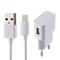 iPhone 5V 2.1A Intelligent USB Fast Charger with 1m Lightning Cable