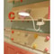 USB Rechargeable Clip Desk Lamp with 3-Level Dimming and Eye Protection LED Light
