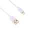 iPhone Wall Charger 5V 2.1A with Lightning 8 Pin Cable Fast Charging Adapter