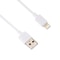 iPhone Wall Charger 5V 2.1A with Lightning 8 Pin Cable Fast Charging Adapter