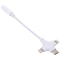 Premium Dual Interface USB Lightning to Audio Adapter Cable