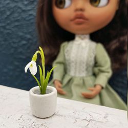 Miniature snowdrop in pot Dollhouse flowers