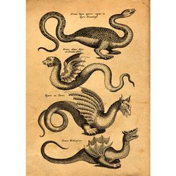 Medieval serpentarium. Ancient dragons illustration. Snakes and serpents print. Medieval art poster. 337.