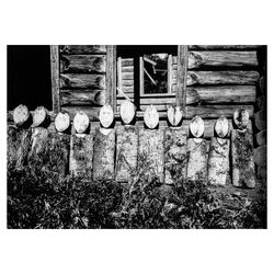 Mugde - wooden figures of the dead among the Nanai people. An old ethnic photo. Pagan style photography print. 797.