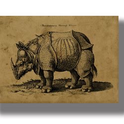 The Rhinoceros. Medieval bestiary illustration. Natural history poster. Antique style reproduction. Monster picture. 879