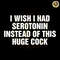 I-Wish-I-Had-Serotonin-Instead-Of-This-Huge-Cock-20240606004.png