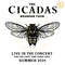 The-Cicadas-Reunion-Tour-2024-SVG-Digital-Download-Files-1705242027.png