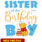 Winnie the pooh sister of the birthday boy png