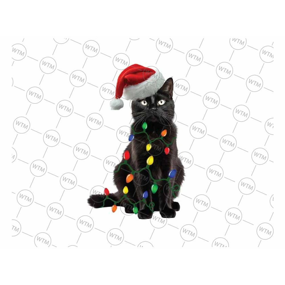 UNCORN DIGITAL WTM_CV_CMAS1073 PNG.jpg