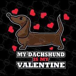 cute and funny design - my dachshund is my valentine svg, dachshund svg, valentine dachshund mom, \gift or dog lover, ha