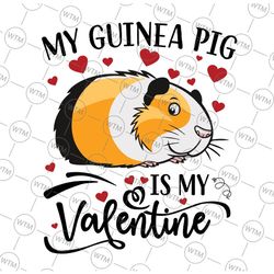 my guinea pig is my valentine svg, guinea pig lover valentine svg, guinea pig heart svg png, valentine's day svg, cute l
