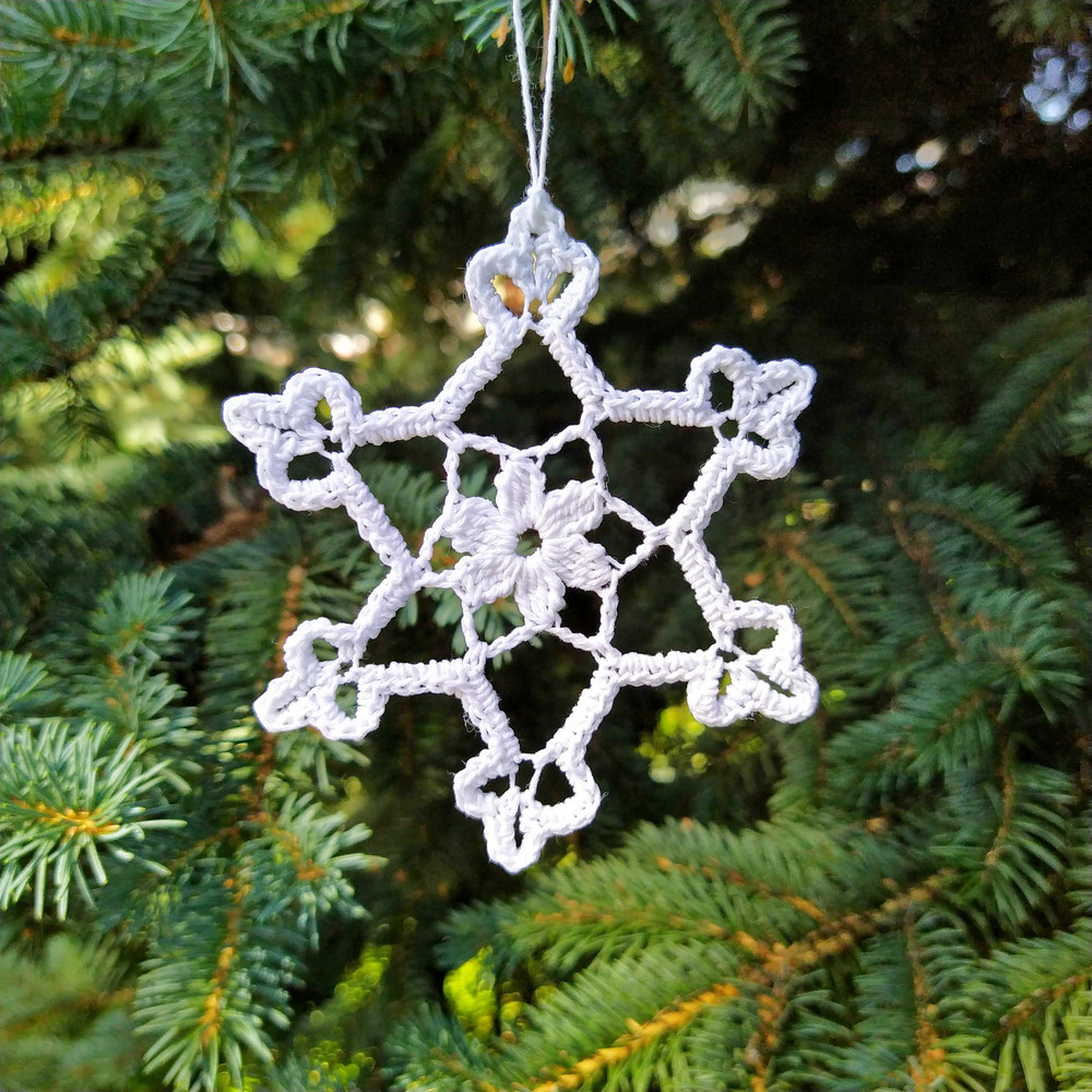 IMG20220809103146jpg