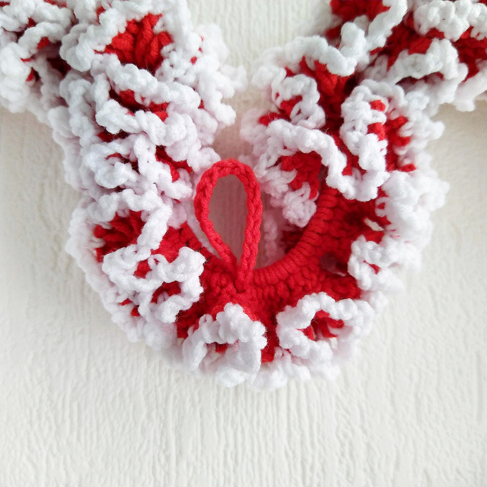 heart wreath for door.jpeg