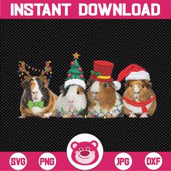 Merry Pigmas Christmas Guinea Pig Png, Funny Guinea Pig Png, Christmas Farm Animal Png, Christmas Png, Digital Download