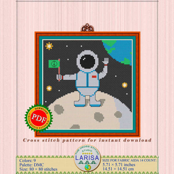 01-LunarAmbassador.jpg