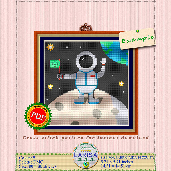 10-LunarAmbassador.jpg