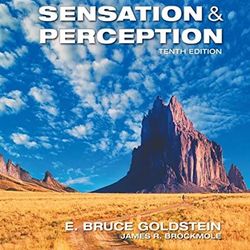 Sensation and Perception 10th Edition Goldstein Test Bank