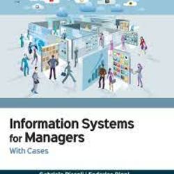Information Systems for Managers with Cases 4th Edition Piccoli Test Bank